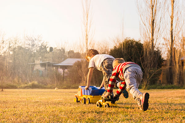 Physical Development and Motor Skills